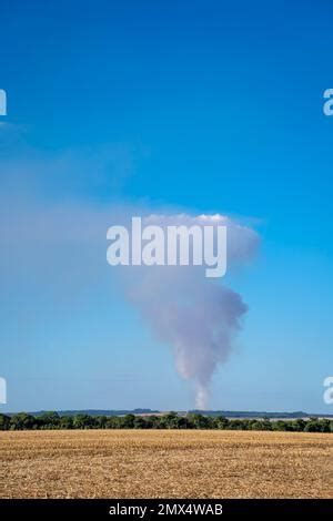 Amazon Rain Forest Burning Deforestation Brazil Burned Trees Ecological