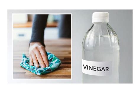 How to Make All-Purpose Cleaner With Vinegar - Handy House Guides