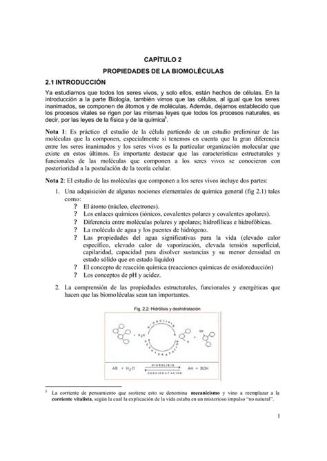 Propiedades De Las Biomoleculas Pdf