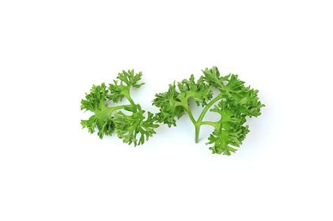 Premium Photo Fresh Parsley Isolated On White Background