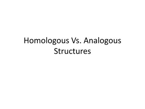 PPT - Homologous Vs. Analogous Structures PowerPoint Presentation, free download - ID:2285403