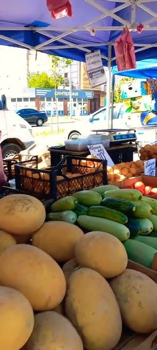 🇺🇦☝️🍉🤌😋👍УКРАИНСКИЕ ХЕРСОНСКИЕ АРБУЗЫ, ЛУЧШИЕ ПО КАЧЕСТВУ В МИРЕ! #war # ...