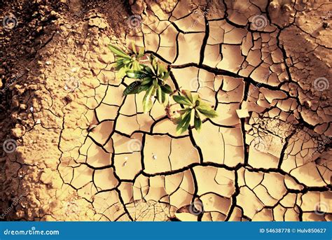 Drought Dry Earth Stock Photo Image Of Climate Africa 54638778