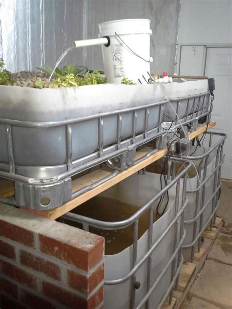 Building Aquaponic Systems From Ibc Totes Over The Last Two Years Has