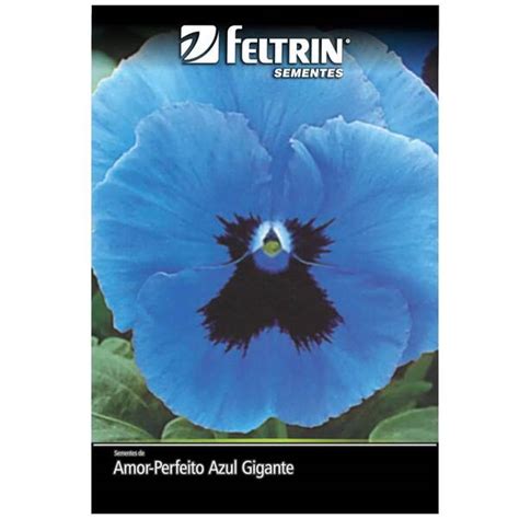 Sementes De Amor Perfeito Gigante Su O Azul Feltrin Leroy Merlin