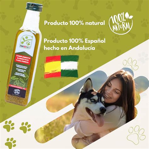 El Aceite De Oliva Virgen Extra Es Seguro Para Los Perros