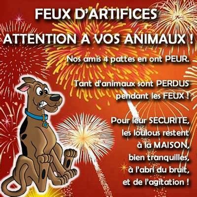 Danger Les Feux Dartifices Kanidikoi Comportement Et Ducation