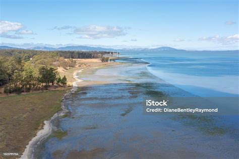 Aerial View Of San Pablo Bay Shoreline Stock Photo Download Image Now