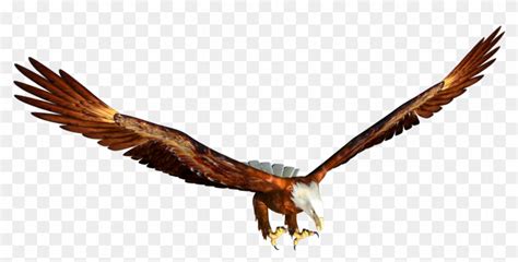 Eagle Png Image, Free Download - Animated Eagle Flying Png, Transparent ...