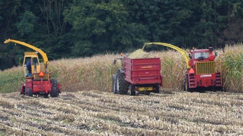 Farmhand F600 Forage Chopper And Fox 6350 In Silagecorn YouTube