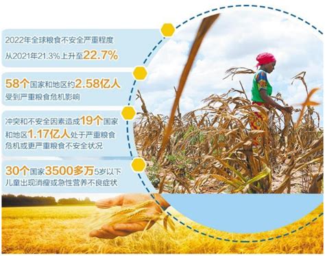 全球粮食危机进一步加剧全球粮食极端天气新冠肺炎新浪新闻