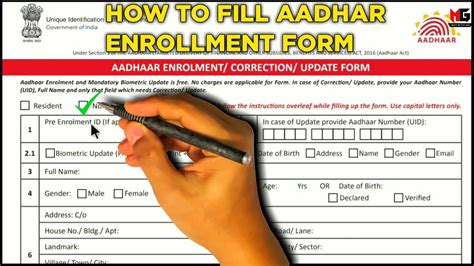 How To Fill Aadhar Enrolment Form Fill Aadhar Form Without Mistake