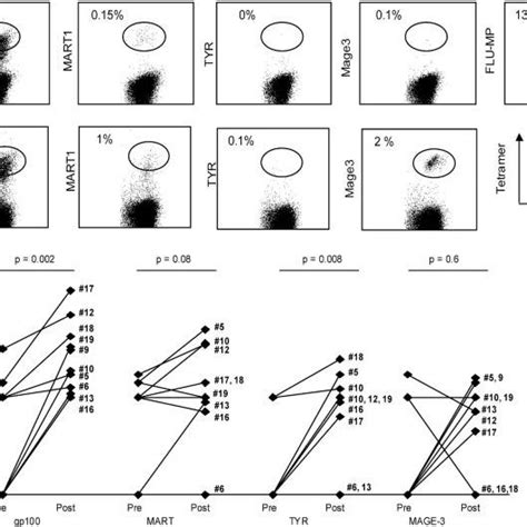 Flow Cytometry Analysis Of Tetramer Binding By Expanded CD8 T Cells