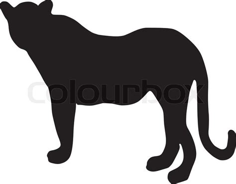 Silhouette of leopard | Stock vector | Colourbox