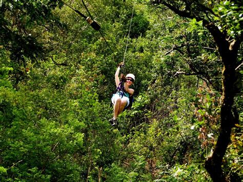 Zip Line Canopy Tours In Costa Rica Ziplining Amusement Park Rides