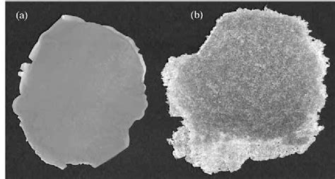 Figure 1 from Glass Transition Behaviour of PMMA/PVA Incompatible Blend ...