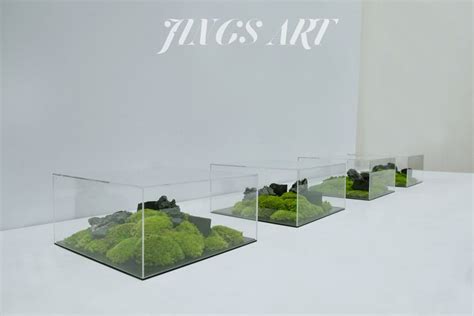 Four Glass Vases With Moss In Them Sitting On A Table Next To A White Wall