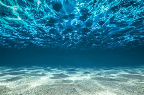 ocean floor wallpapers  hd backgrounds  wallpaperbat