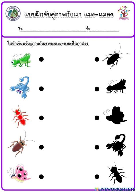 แบบฝึกจับคู่ภาพกับเงา แมงและแมลง Worksheet Live Worksheets