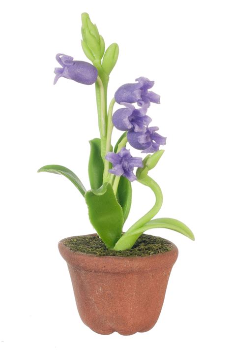 Potted Lily Purple Mary S Dollhouse Miniature Accessories