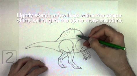 How To Draw A Spinosaurus Youtube