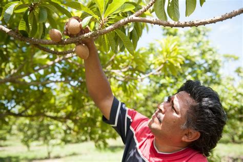 La Jornada Maya Yucatán Juan Manuel Contreras Yucatán primer