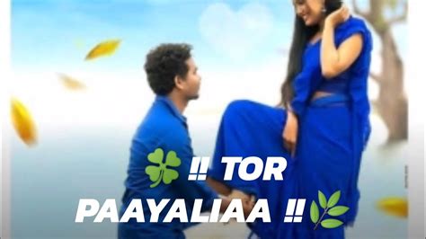 Tor Paayaliaa Nil Sagar 🌿 Swagatika 🌿 New Sambalpuri Whatsapp Status