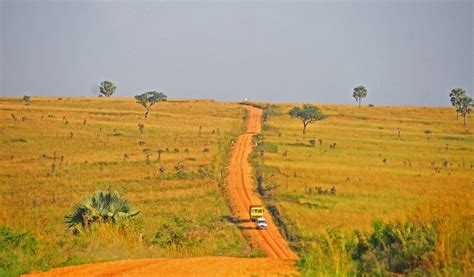 Game Drives In Murchison Falls National Park