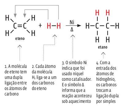 Reações De Hidrogenação - Compostos orgânicos: Reações orgânicas | Curso Enem Play | Guia do ...