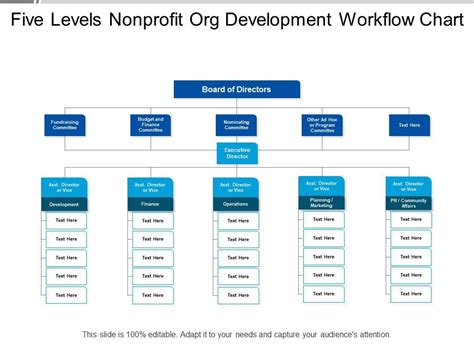 Five Levels Nonprofit Org Development Workflow Chart PowerPoint