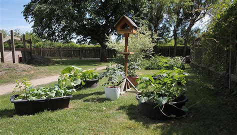 Wurzner Straße BBW Kitas