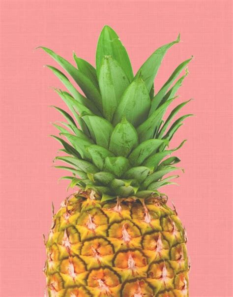 Pineapple Art Print Printable Art Pineapple Printable Etsy