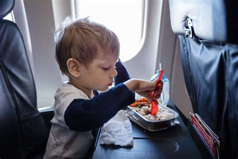 35 Best Airplane Snacks For Toddlers Who Travel Rachels Crafted Life