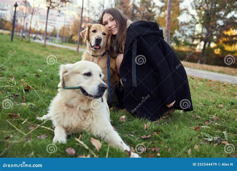 Beautiful Girl With Two Golden Retrievers In Park Stock Image Image