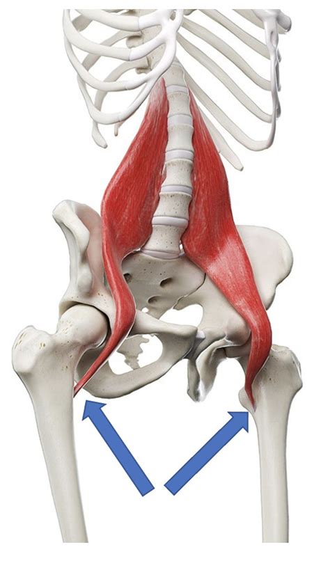 Psoas Archives Dr Justin Dean