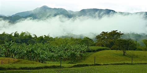 Hacienda Bambusa Private Luxury Ranch In Colombia Landed Travel