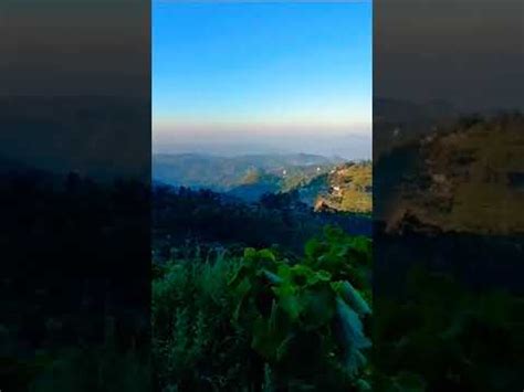 Beauty Of Nature Nature Shorts Beautyofnature Viral Hills