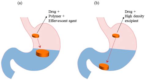 Pharmaceutics Free Full Text Current State And Future Perspectives