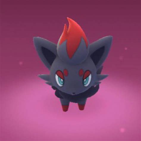 Evolution Zorua Pokemon Noir In Stock Th