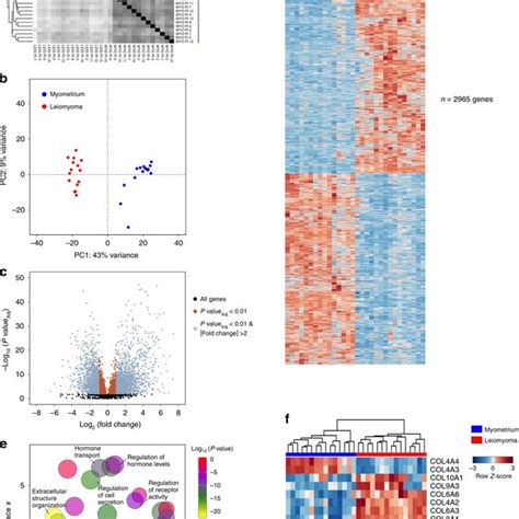 Transcriptome Profiling Reveals Transcriptional Dysregulation Of Key