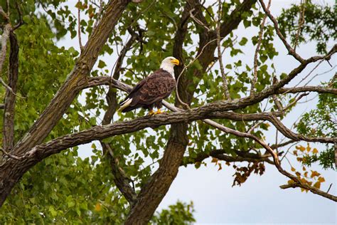 Lake Loramie Fall Harvest Festival – September 15, 16, & 17