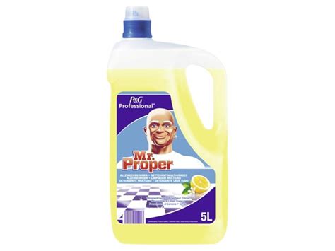 Meister Proper Citrusfrische L Kaufen Bei Obi