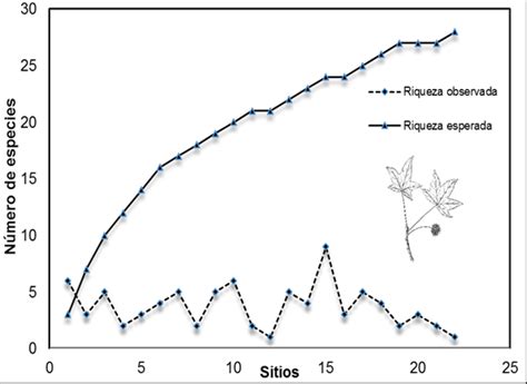 Rarefacción de la diversidad de especies leñosas en los 22 sitios de