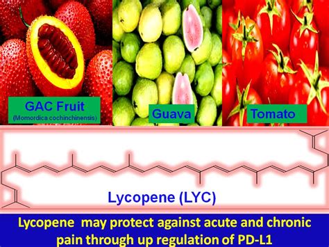 Activation Of The Pd 1 Pathway For Pain Therapy Lycopene Lyc