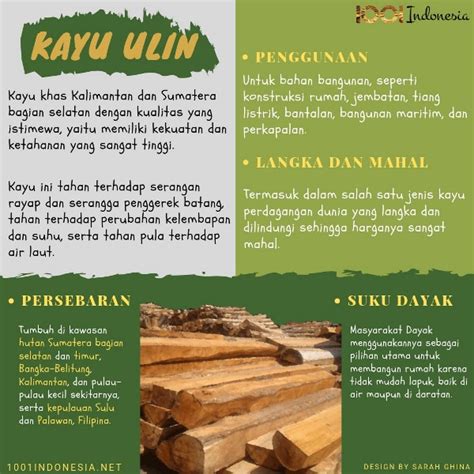 Jenis Jenis Kayu Di Indonesia