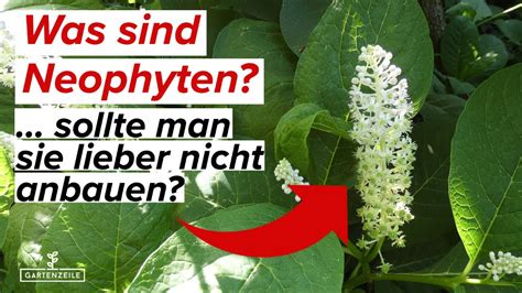 Was Sind Neophyten Fremde Arten In Deinem Garten Trotzdem Anbauen