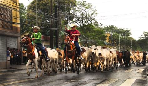 Top Best Masbate Tourist Spots Things To Do Travellyclub