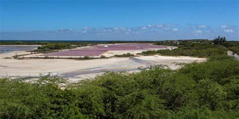 Las Salinas De Cabo Rojo Metro
