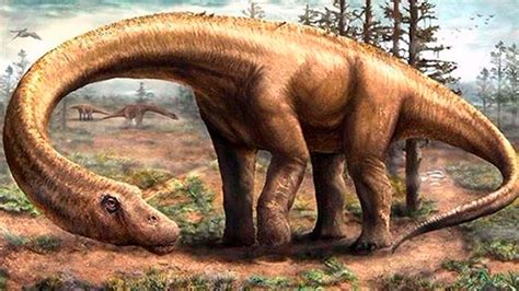 Patagotitan Mayorum El Dinosaurio M S Grande De La Historia