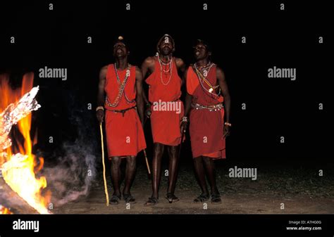 Maasai Warriors Dancing Maasai Mara National Reserve Kenya Stock